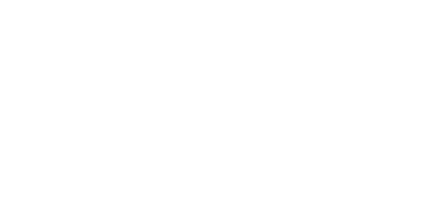 Logo des Radiosenders LN Radio Belgium